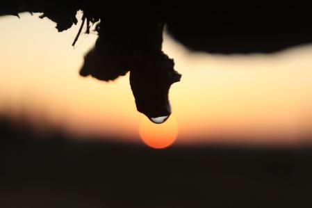 Paisaje del Tarròs en tiempos de sequía.