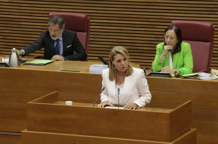 Susana Camarero durante su intervención