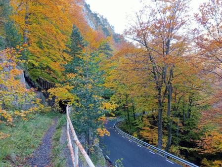 Carretera al otoño en Queralt.