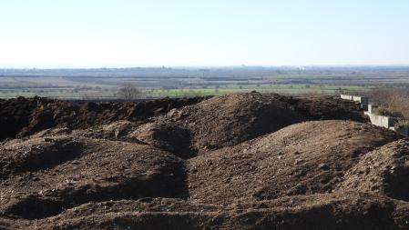 Reto visual: ¿Eres capaz de encontrar a los dos pájaros?
