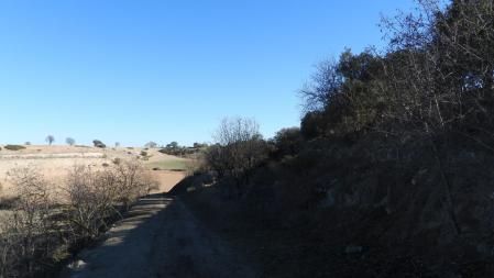 Reto visual: ¿Eres capaz de encontrar al aguilucho?