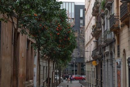 El vergel de la calle Sant Agustí de Gràcia.