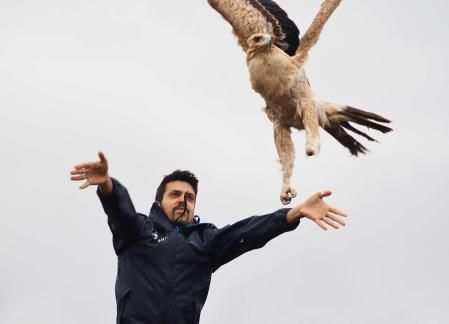 El activista vegano Xavi Animal libera al águila imperial Lluvia