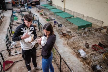 Fotografía reportaje abandono masivo de conejos y saturación en protectoras. APAEC,sant Feliu de Llobregat ￼