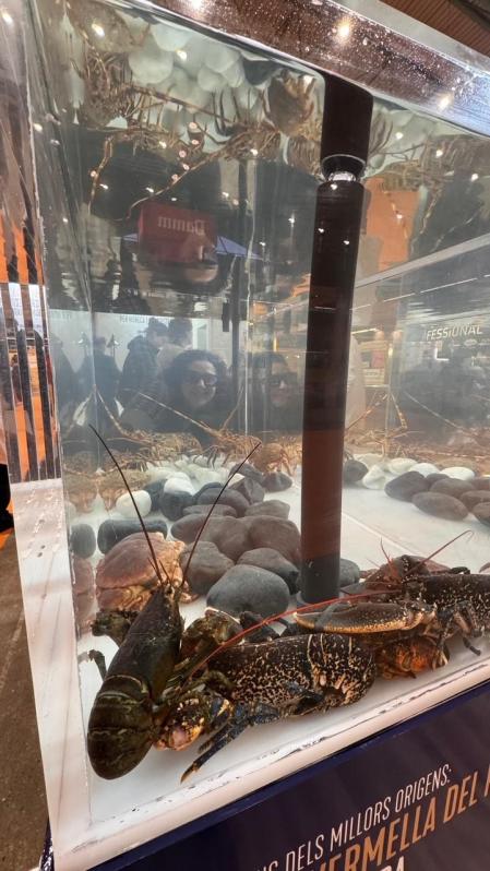 Fòrum Gastronòmic Girona.