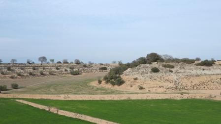 Reto visual: ¿Eres capaz de encontrar a las águilas?