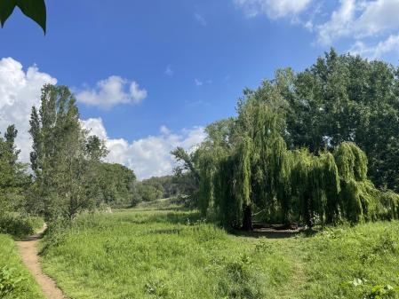 En primavera, con el florecimiento.