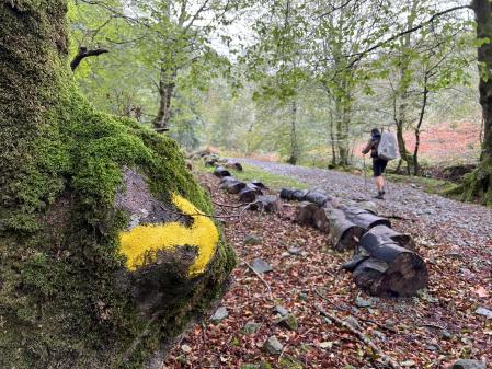 El Camino de Santiago Baztanés es una ruta jacobea que sigue una entrada alternativa a la tradicional, por Roncesvalles, a la capital de Navarra, Pamplona.