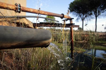 Imagen de una balsa de riego que acumula agua procedente de pozos ilegales, situada en medio de los bosques de Doñana.