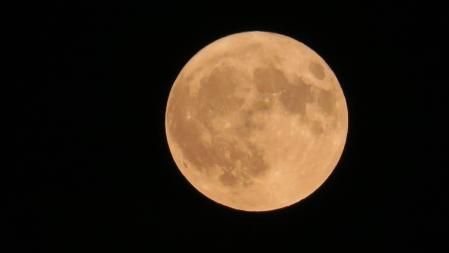 Luna de esturión en detalle.