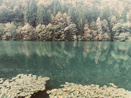 Otoño en el lago de Levico Terme.