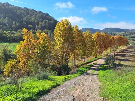 El otoño íntimo de Porquerisses.