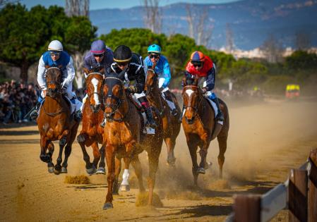Carreras de pura sangre en Vila-seca.