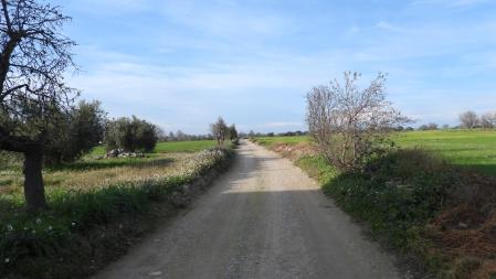 Reto visual: ¿Eres capaz de encontrar al milano real?