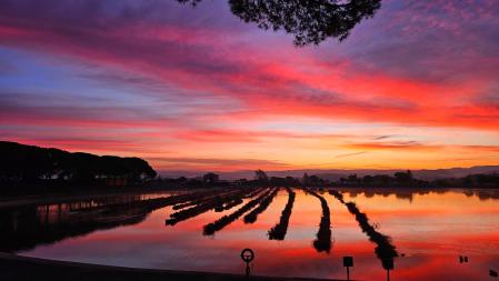 El cielo duplicado en el amanecer rojizo del Parc de l'Agulla