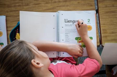 En muchos colegios las horas de apoyo de maestro de audición y lenguaje son escasas