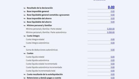 Resumen de la declaración del simulador renta web open