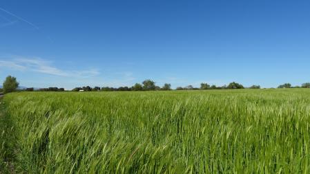 Reto visual: ¿Dónde están las montañas nevadas?