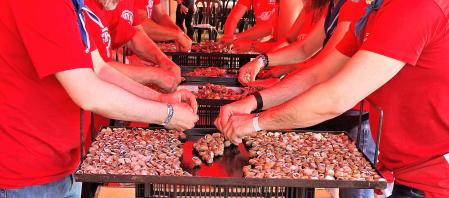 El caracol, el auténtico protagonista del Aplec del Caragol de Lleida.