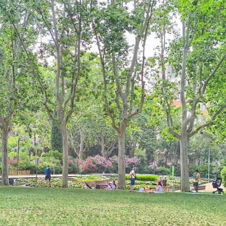 El oasis barcelonés del Turó Park.