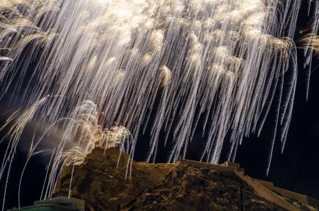 La gran palmera del Monte Benacantil.