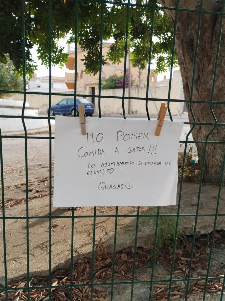 Nota que indica que no es necesario dar de comer a los gatos.