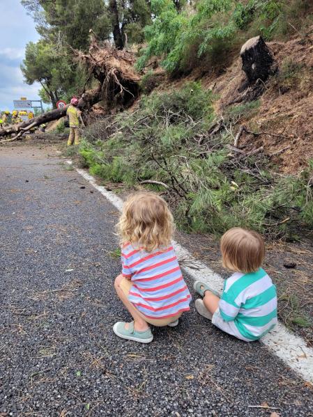 Dos niños siguen los trabajos de los bomberos para despejar la C-17 tras la caída de un árbol durante el temporal.