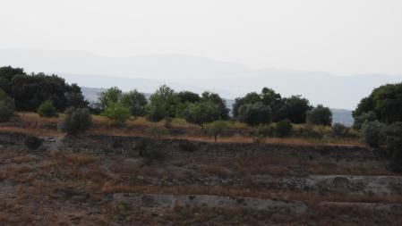 Reto visual: ¿Dónde está el aguilucho?