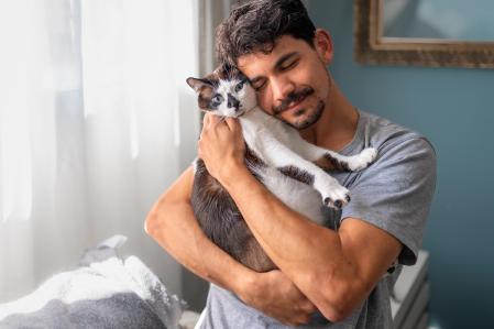 Acariciar gatos es positivo.&nbsp;