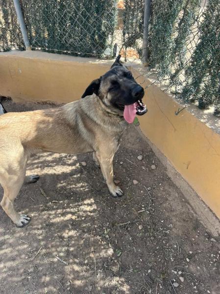 Ranger espera familia.