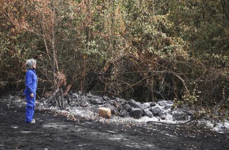 Paraje quemado en el espacio natural de Las Médulas&nbsp;
