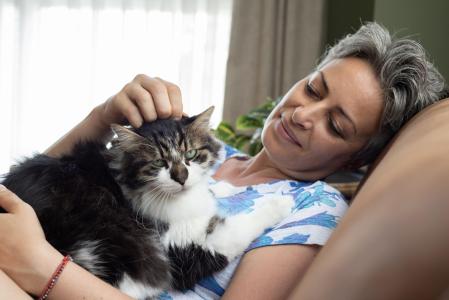 Es indispensable preparar la casa para un gato sénior.