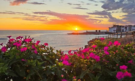 Dama de noche en L'Escala.
