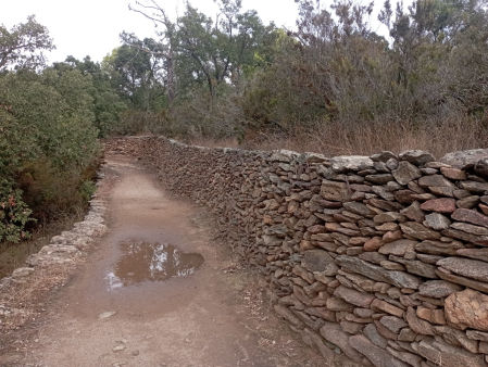 Camino con muro de piedra seca, en Roses.
