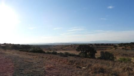 Reto visual: ¿Dónde está el Pilar d'Almenara?