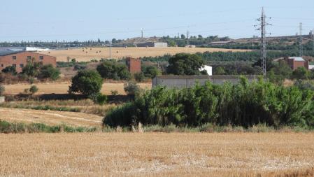 Reto visual: ¿Cuántos pájaros eres capaz de ver en esta foto?