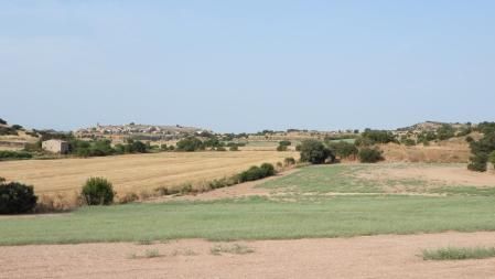 Reto visual: ¿Eres capaz de ver el tractor?