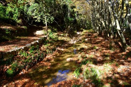 Les Dous de Torrelles de Foix, en otoño.