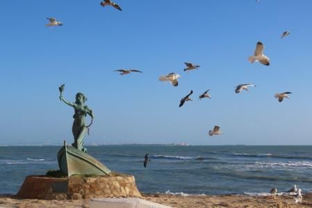 Gaviotas revoloteando en torno a 'La Libertad' en Rota.