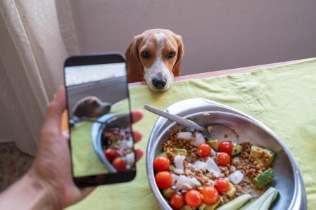 Susan Nilson&nbsp;explica que “podría ser un signo de afecto”.&nbsp;&nbsp;