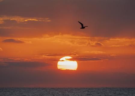 Amanecer de diciembre en la playa de la Barceloneta.