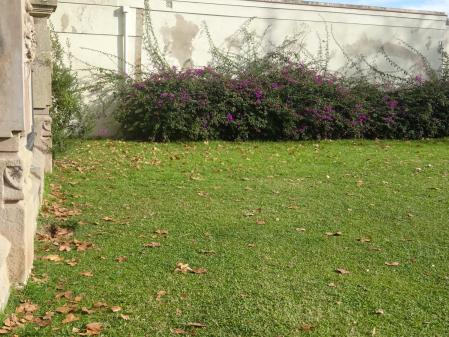 Reto visual: ¿Dónde está la lavandera blanca?