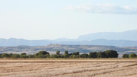 Reto visual: ¿Puedes ver el pilar en menos de 30 segundos?