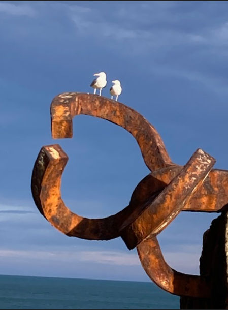 Las gaviotas del Peine del Viento.