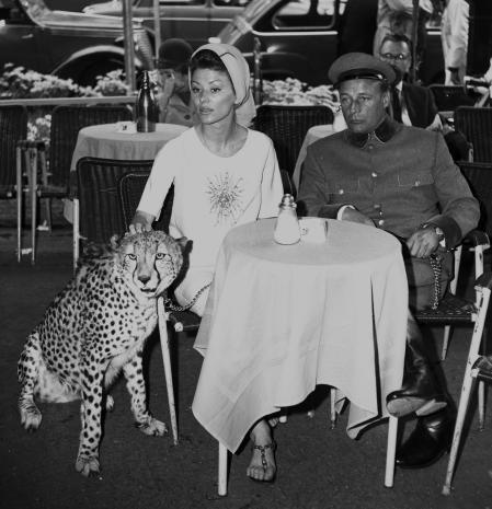 La actriz Irina Demick paseaba por las calles de Roma con un guepardo, con su chófer Nick&nbsp;