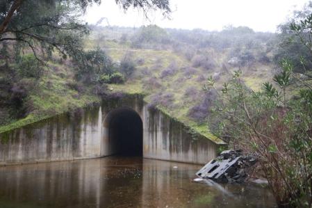 El bogie desprendido tiene un peso aproximado de diez toneladas 