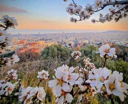 Barcelona desde el Turó del Carmel.
