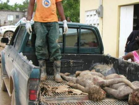 Víctimas en Puerto Príncipe (Haití), tras el sismo de 7 grados de la escala Richter que sacudió al país más pobre de América