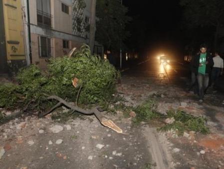 Una calle de Santiago, cortada a causa de la caída de un árbol como consecuencia del terremoto