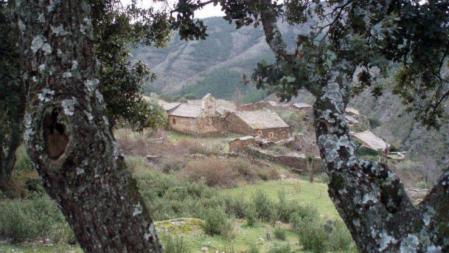 Un bosque de encinas yalrededor del pueblo abandonado de La Vereda, en Guadalajara